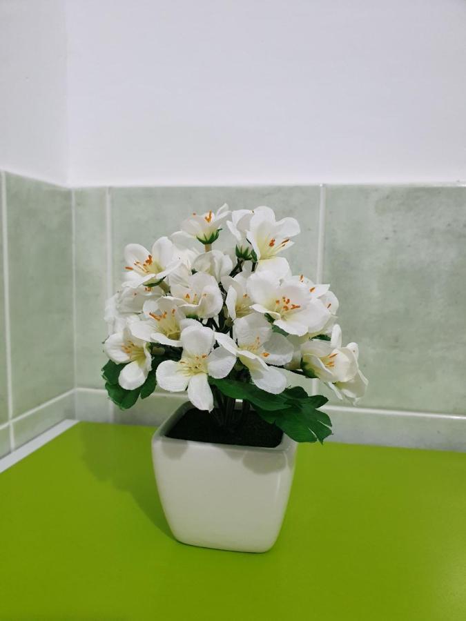 Chiara Naxos Apartment ジャルディーニ・ナクソス エクステリア 写真